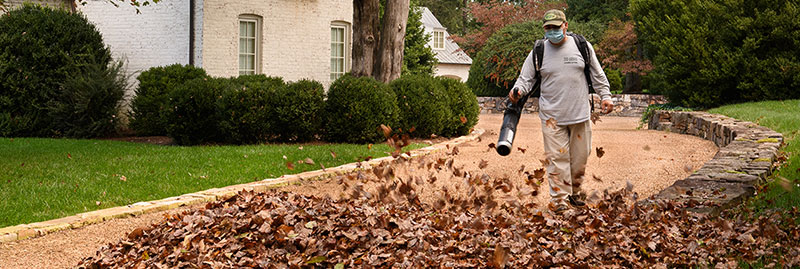 Leaf Care in Fall